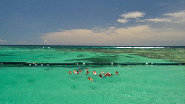  Wild on Caribbean Boat