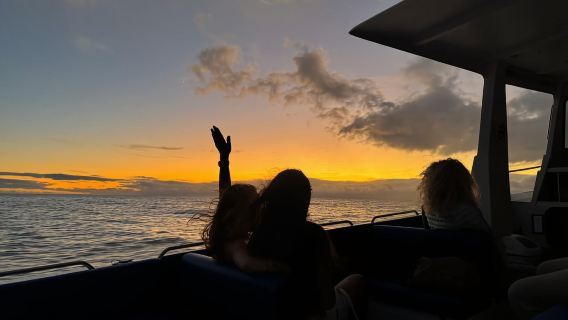 Ab Funchal: Moderne Katamaran-Küstenerkundungstour