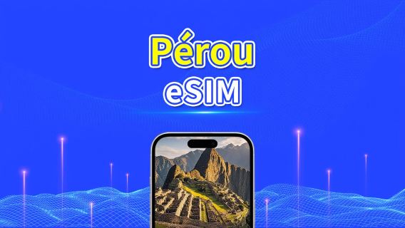 eSIM Pérou | 4G | Forfait quotidien/Forfait total de données | 1–30 jours | Facturation 24 heures | Code QR