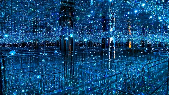 Nanjing Van Gogh Star Sky Art Museum (immersive 4D light show + sunflower field tour)