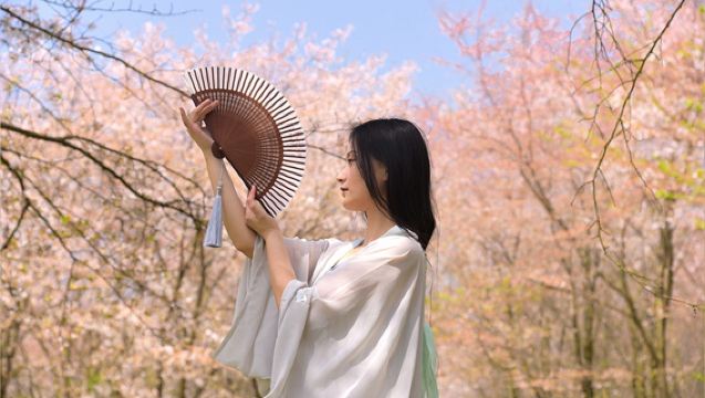 貴州平壩貴安櫻花園一日遊6人小團·晚出發接駁服務贈送茶飲+小吃