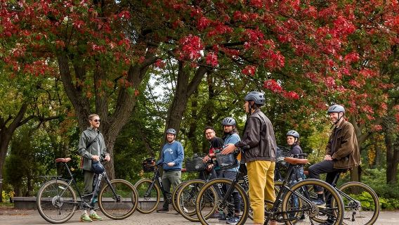 Bike / E-bike Tour : Downtown, Old Montreal, Waterfront by Fitz