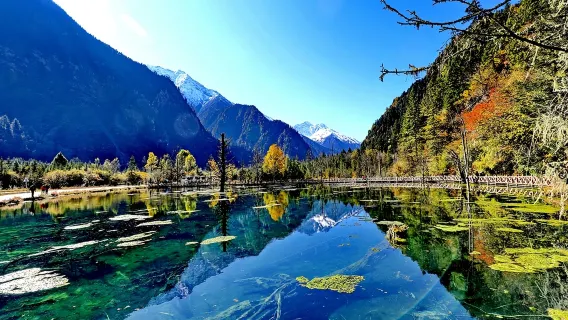 Sichuan Bipenggou Scenic Area Private Day Tour from Chengdu