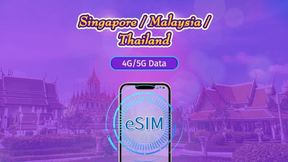 Сингапур/Малайзия/Таиланд|4G/5G eSIM|Ежедневный пакет / Пакет трафика|Трафик сбрасывается раз в 24 часа|1-30 дней|QR-код