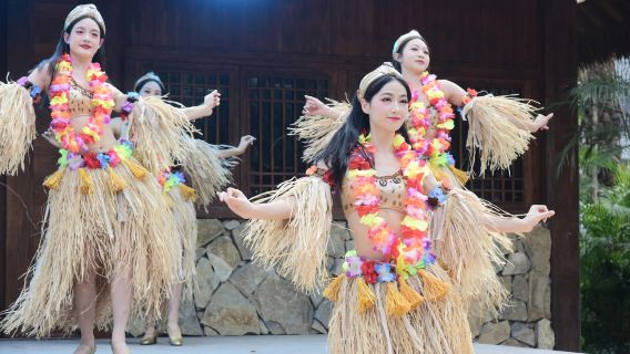 廣東千古情+佛山祖廟一日遊【嶺南舞獅表演@實景演出【私人導覽】