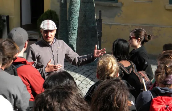 蒂米什瓦拉經典之旅