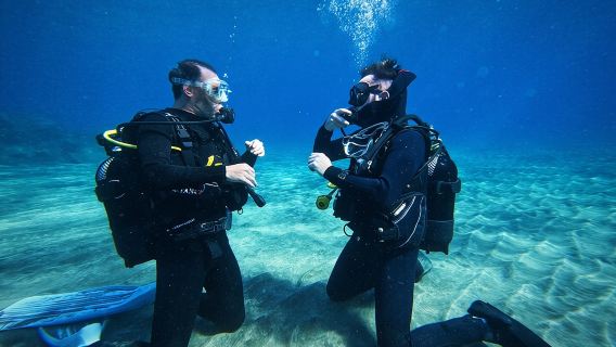 Private Scuba Diving in Tenerife – Certified Instructor & Photos