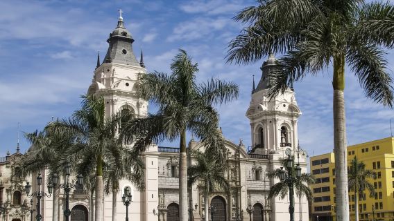 秘魯利馬武器廣場-可接/送機服務-可客製化【普通話專車-舒適純淨】