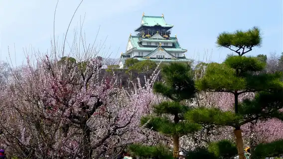 Sanyo Shinkansen — One-way ticket [Osaka/Okayama/Fukuyama/Hiroshima/Okura/Hakata/Yamaguchi]