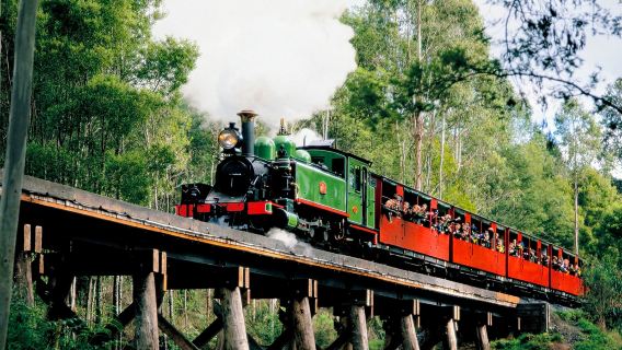 Excursion d'une journée en train à vapeur Puffing Billy à Melbourne et sur l'île aux Pingouins (Offre spéciale - Spécial Fête nationale)