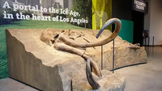 La Brea Tar Pits and Museum Admission Ticket with Excavator Tour