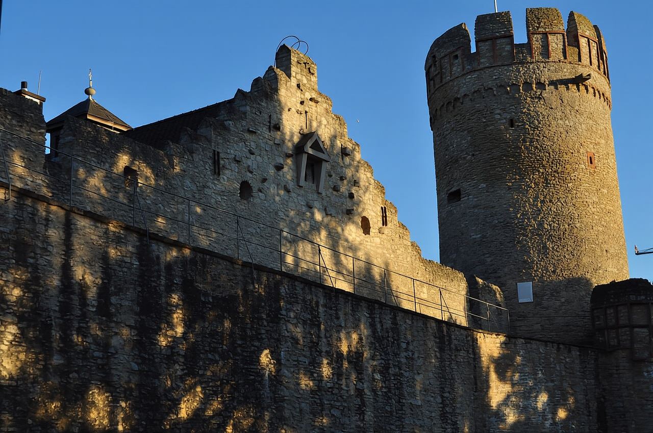 Sip Wine Along the Rhine - Grape Day out from Frankfurt