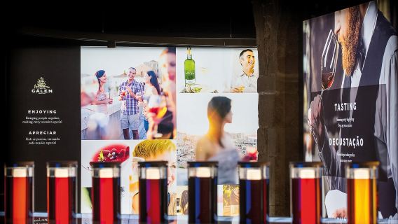 Porto: visita alla cantina Cálem, museo interattivo e degustazione di vini