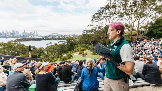 Sydney: biglietti per lo zoo Taronga