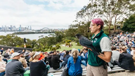 Sydney: Taronga Zoo Tickets
