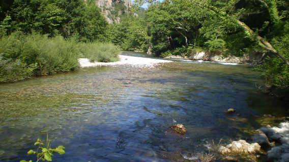 Escursione di 3 ore dalla gola di Vikos Aristi al ponte di Klidonia