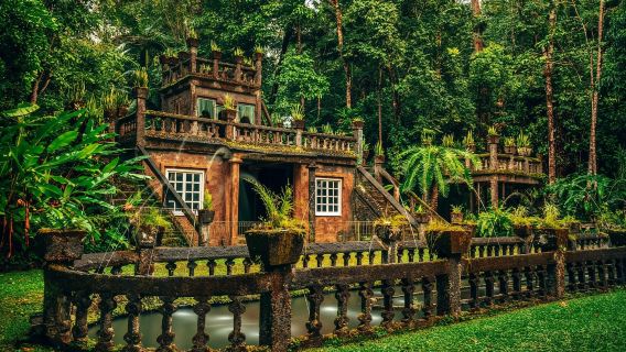 Tagesausflug zum Paronella Park in Cairns mit englischsprachiger Qualitätstour | Optionale Abendtour