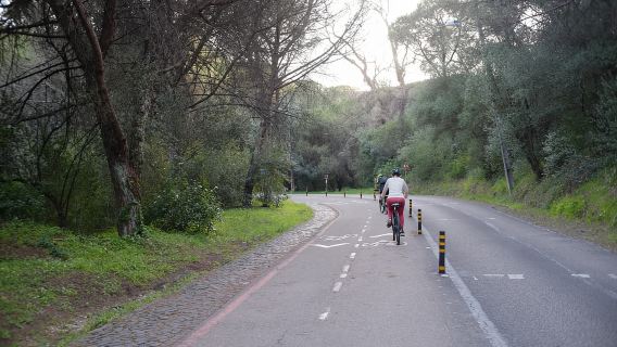 Lisbon: Guided Tour of Monsanto Park by Vintage Bike