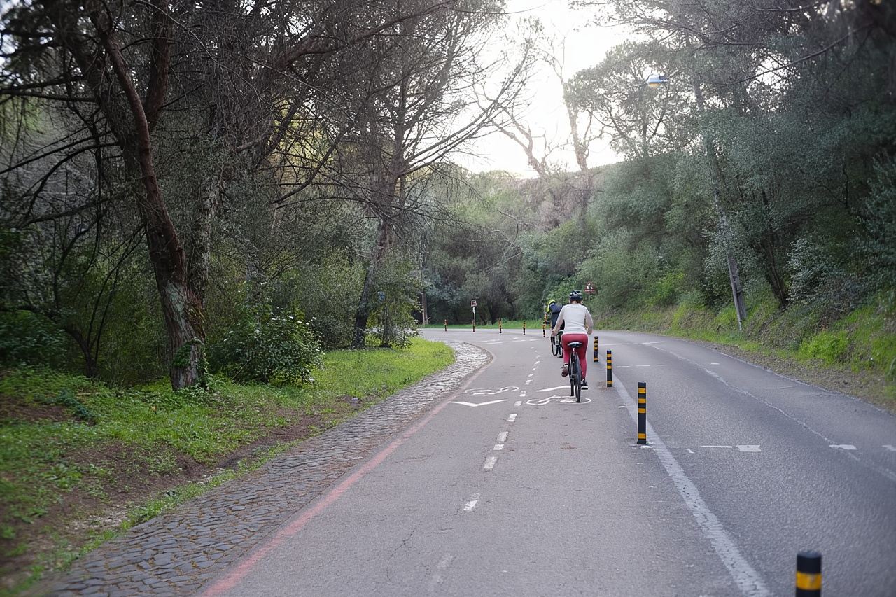 Lisbon: Guided Tour of Monsanto Park by Vintage Bike