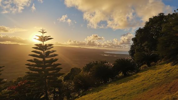 Punta Cana: Montaña Redonda y Costa Esmeralda