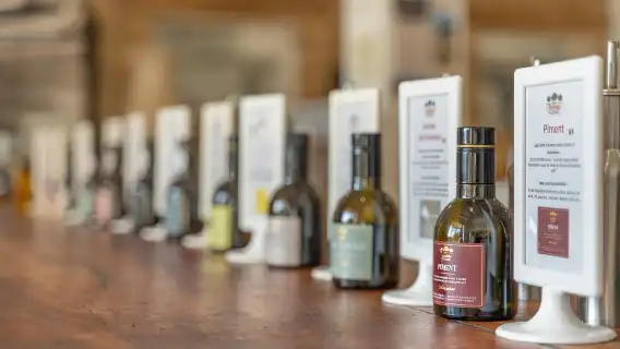 Self tour of the olive oil mill & olive oil tasting