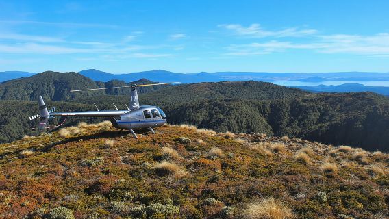 Taupo: Helicopter Flight Over Huka Falls and Maori Carvings