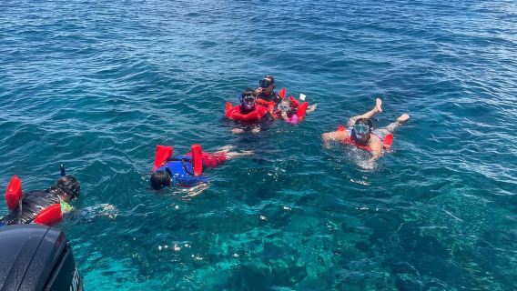 Roatan Pontoon Schnorcheln & West Bay Beach + Mittagessen