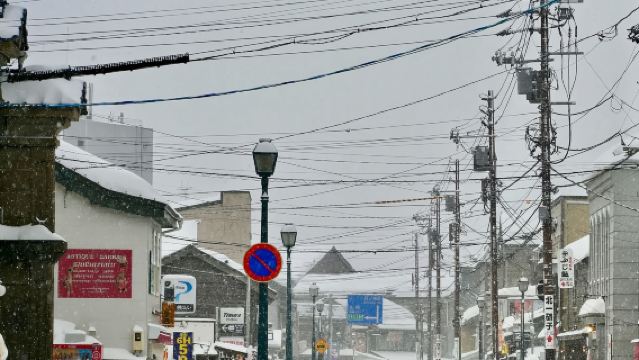日本旭川市旭山動物園+精靈小屋【中文司機/可訂多日】