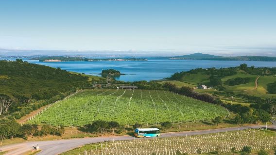Waiheke Island Hop-On Hop-Off Explorer Bus from Auckland (Small Group Tour) - Walk-up Ferry Return