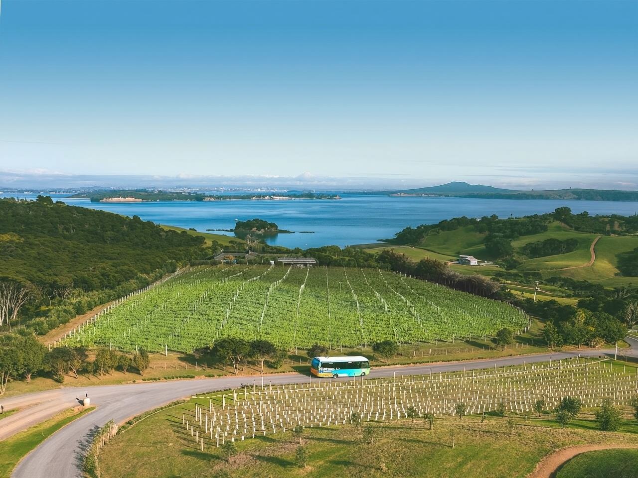 Waiheke Island Hop-On Hop-Off Explorer Bus from Auckland (Small Group Tour) - Walk-up Ferry Return