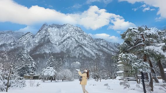 Mt. Seorak+Nami Island+Garden of Morning Calm Day Trip from Seoul