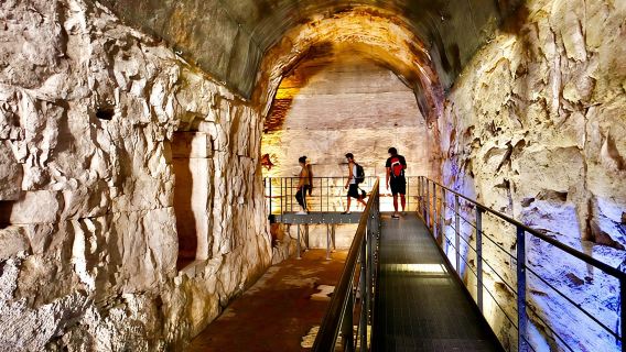 Expert Guided Tour of Colosseum Arena OR Underground, and Forum
