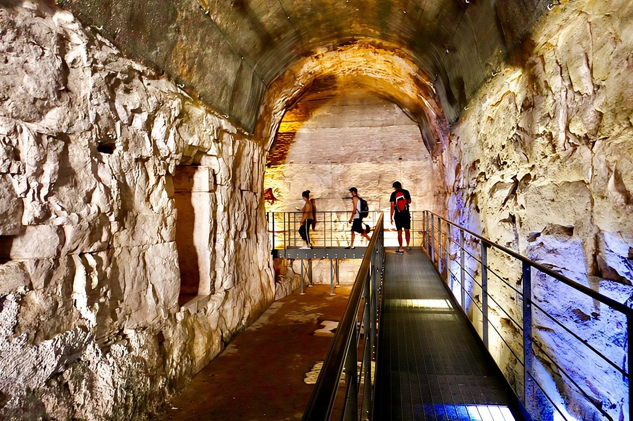Expert Guided Tour of Colosseum Arena OR Underground, and Forum