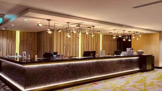 Singapore Changi Airport Plaza Premium Lounge Service - International Airport VIP Lounge for Relaxation, Comfort, and Efficient Check-in with Guaranteed Safety