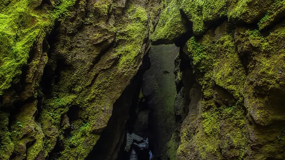 超級吉普車帶你探索Þórsmörk——冰島隱世嘅冰火之谷