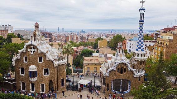 Barcelone : Visite guidée du Parc Güell et billets avec accès prioritaire
