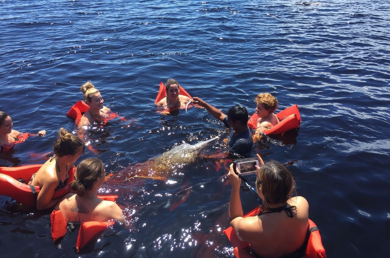 巴西 馬瑙斯出發 亞馬遜河一日遊 12人小團/含午餐+接駁
