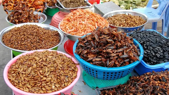 Recorridos gastronómicos nocturnos por las calles de Siem Reap en tuk-tuk