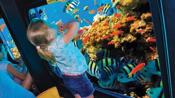 Royal Sea Scope Semi Submarine - Marsa Alam