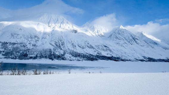 Fjord-, Berg- und Wildtier-Tour
