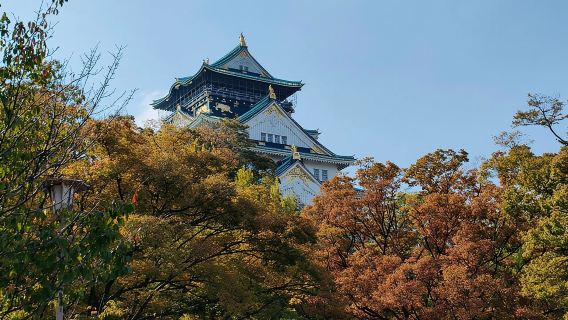 Ultimate Osaka Walking Tour: Castle, Dotonbori & Hidden Gems