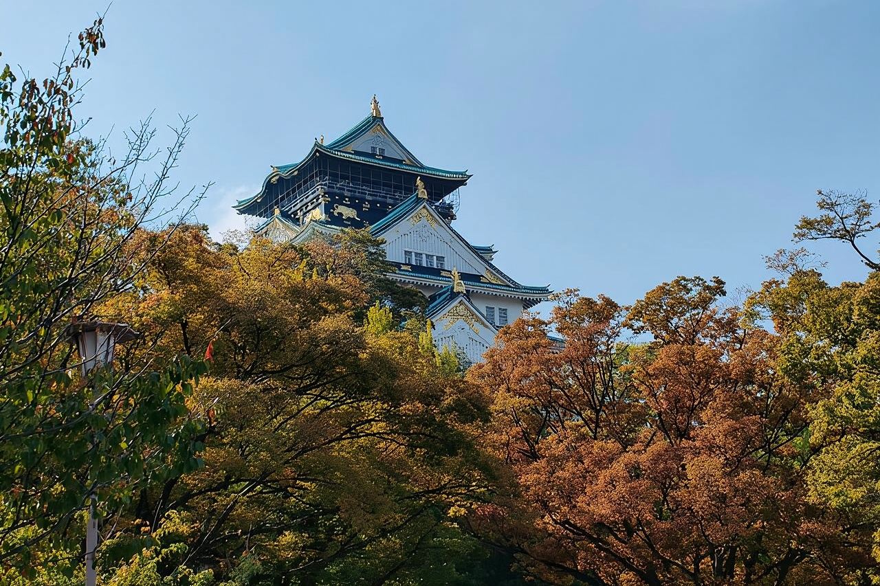Ultimate Osaka Walking Tour: Castle, Dotonbori & Hidden Gems 