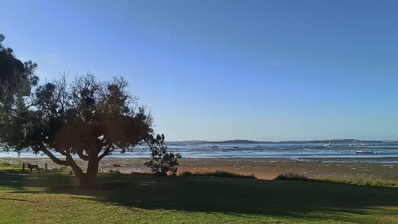 Penguin Parade & Wildlife Viewing & Phillip Island one-day tour(Melbourne Departure) Itinerary is adjustable