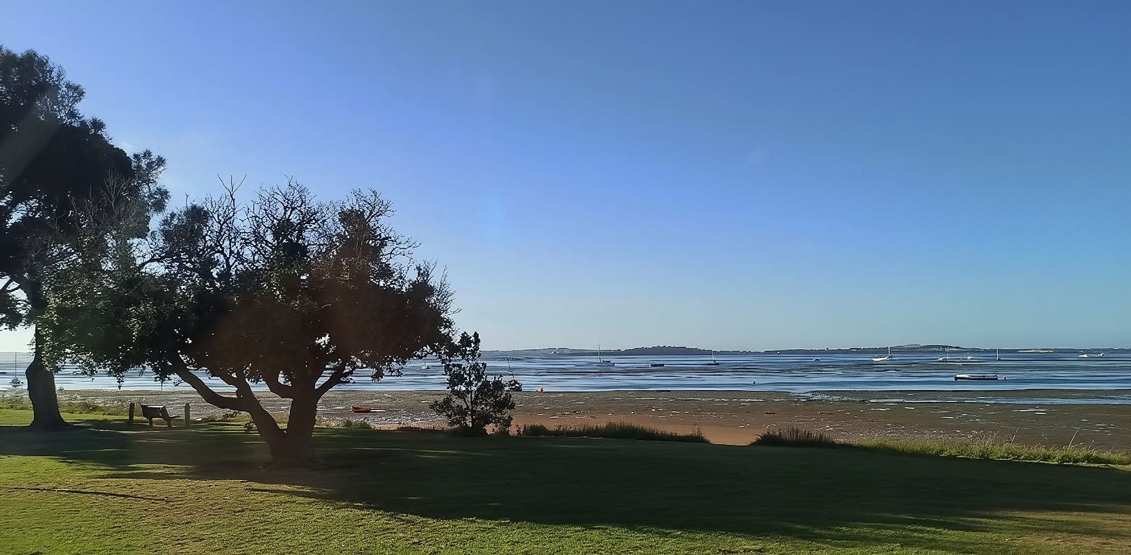 ทัวร์ 1 วัน ชมเพนกวินกลับรังและสัตว์ป่าที่เกาะฟิลลิป (ออกเดินทางจากเมลเบิร์น) ปรับเปลี่ยนกำหนดการเดินทางได้