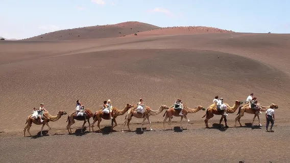 Full Day Tour to Timanfaya, Green Lagoon and La Geria