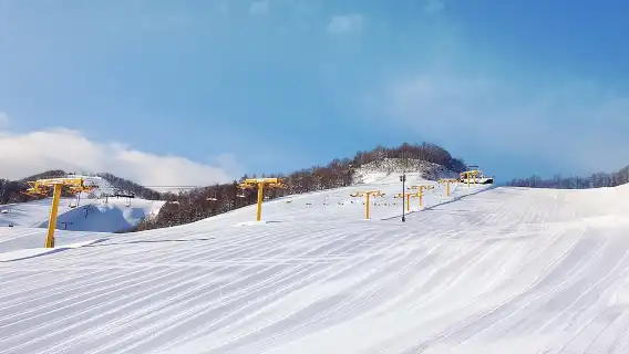 일본 홋카이도 오타루 아사리가와 스키 리조트 당일 치기 여행: 중국어 및 영어 가능 스키 강사 및 장비(선택 사항)