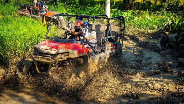 Jungle Buggies and Monkeyland from Punta Cana