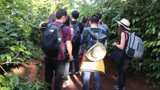 Tur kebun kopi, pengalaman memanggang dan mencicipi kopi