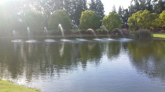 Le Cap : découvrez le golf, une visite des vignobles avec dégustation VIP