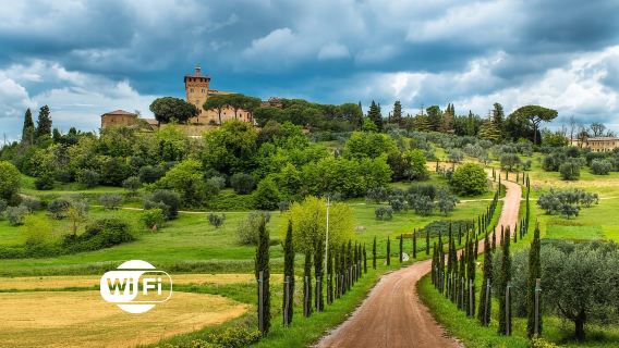 Half Day Escape to Chianti: Taste the Heart of Tuscany